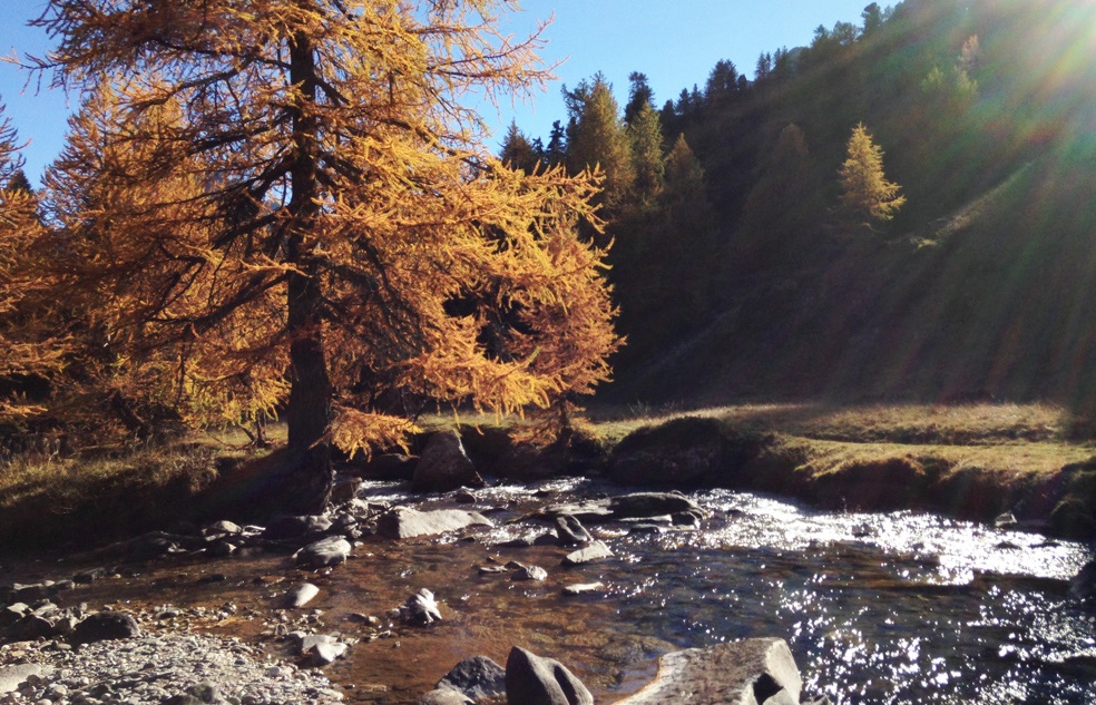  La Vallée de la Clarée vous offre la lumière des Alpes du Sud dans un décor de montagnes.  