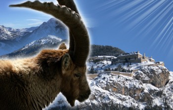  Un havre de paix entre montagne et patrimoine. 