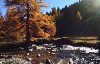  La Vallée de la Clarée vous offre la lumière des Alpes du Sud dans un décor de montagnes.  